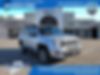 ZACNJBD14LPL74074-2020-jeep-renegade
