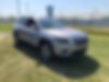 1C4PJMDX0MD210185-2021-jeep-cherokee-2