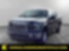 1FTEW1E83GKE48501-2016-ford-f-150-0