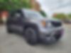ZACNJABB0LPL92917-2020-jeep-renegade