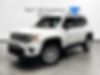 ZACNJDD1XMPN33256-2021-jeep-renegade