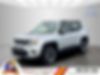 ZACNJDD13MPM71800-2021-jeep-renegade