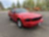 1ZVHT80N185158850-2008-ford-mustang-2