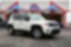 ZACNJAABXLPL05560-2020-jeep-renegade
