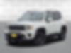 ZACNJBB19LPL78561-2020-jeep-renegade