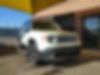 ZACCJADTXGPC58910-2016-jeep-renegade-0