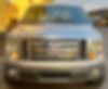 1FTFW1CT1BFB77886-2011-ford-f-150