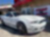 1ZVBP8AM0D5227246-2013-ford-mustang