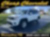 ZACNJDBB4MPM27669-2021-jeep-renegade