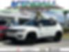 3C4NJCBB6LT236517-2020-jeep-compass