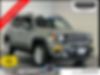 ZACNJDBB7MPM56423-2021-jeep-renegade