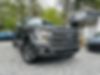 1FTEW1CF7FKD53570-2015-ford-f150-supercrew-cab