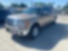 1FTFW1ET1DFC50416-2013-ford-f-150-1