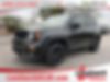 ZACNJDE1XPPP18149-2023-jeep-renegade