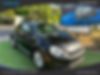 3VWJL7AT5DM679907-2013-volkswagen-beetle