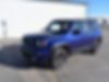ZACNJBB16KPK11959-2019-jeep-renegade