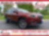 1C4PJMMN4MD109911-2021-jeep-cherokee