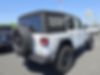 1C4PJXDG0RW304533-2024-jeep-wrangler-2
