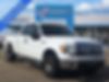 1FTEX1C88AFD76291-2010-ford-f-150-0