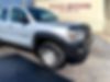 5TEUX42N69Z641034-2009-toyota-tacoma