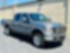 1FTSW21R19EA48168-2009-ford-f-250