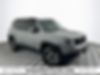 ZACNJBC19LPL70653-2020-jeep-renegade