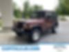1J4FA49S83P309532-2003-jeep-wrangler