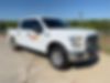 1FTEW1E82GFB44388-2016-ford-f-150-2