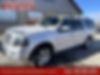 1FMJK2A58AEB07284-2010-ford-expedition