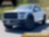 1FTFW1RG1HFC03115-2017-ford-f-150