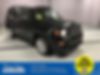 ZACNJAA19LPL74943-2020-jeep-renegade