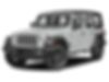 1C4RJXFG0RW199384-2024-jeep-wrangler