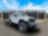 1C4RJXSJ2RW299388-2024-jeep-wrangler