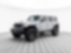 1C4RJXSJ7RW101629-2024-jeep-wrangler