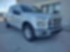1FTEW1EP1HFA60491-2017-ford-f-150-0