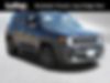 ZACNJDBB5MPM94054-2021-jeep-renegade