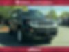 ZACCJBDT2GPD10665-2016-jeep-renegade