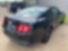 1ZVBP8AM1C5276194-2012-ford-mustang-2