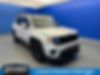 ZACNJABB0LPL16484-2020-jeep-renegade
