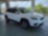 1C4PJLMX0MD107553-2021-jeep-cherokee-1
