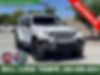 1C4JJXP63MW860143-2021-jeep-wrangler