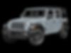 1C4PJXDG7RW284863-2024-jeep-wrangler-0