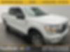 1FTEW1EPXNKD14265-2022-ford-f-150-0