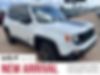 ZACNJBC1XLPL91530-2020-jeep-renegade