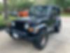 1J4FA49S53P349213-2003-jeep-wrangler
