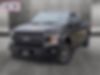 1FTEW1CP9LKE59085-2020-ford-f-150