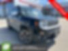 ZACCJBDT1FPC00155-2015-jeep-renegade