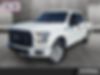 1FTEW1EP0HKD88749-2017-ford-f-150