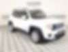 ZACNJABB7KPK76063-2019-jeep-renegade