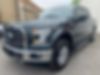 1FTEW1EP2FFB17892-2015-ford-f-150-0